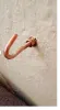 Nở Sắt Móc Tắc Kê Sắt Móc Treo Đồ Tải Trọng Cao M6 M8 M10 Bán Lẻ