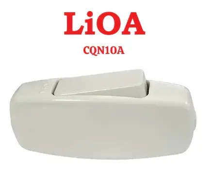 Công tắc kiểu quả nhót CQN10A